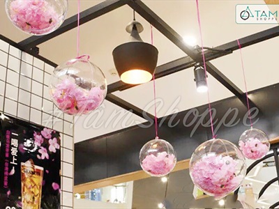 Quả cầu nhựa trong suốt hai mảnh ghép làm trái châu Noel [ĐK6-20cm - Tự ráp] TRAICHAU-40
