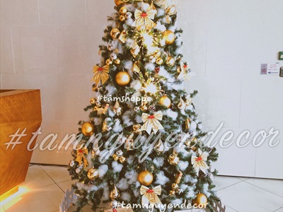 Trái châu Noel mờ đủ màu, đủ cỡ [Từ 4-16cm - Hàng chuẩn] TRAICHAU-34