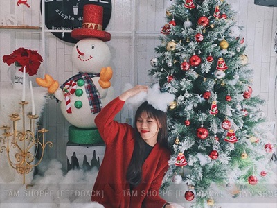 Trái châu Noel bóng đủ màu, đủ cỡ [Từ 4-16cm - Hàng chuẩn] TRAICHAU-33