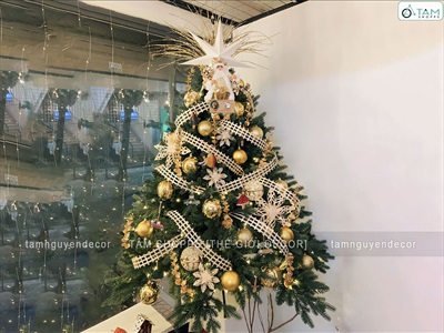 Trái châu Noel bóng đủ màu, đủ cỡ [Từ 4-16cm - Hàng chuẩn] TRAICHAU-33