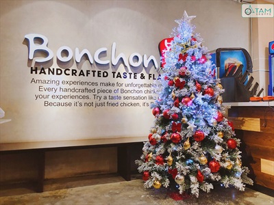 Trái châu Noel múi dọc đủ màu, đủ cỡ [ĐK 4-10cm - bắt sáng] TRAICHAU-37