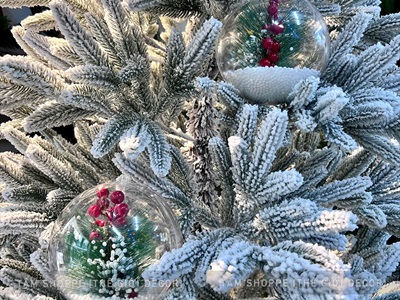 Trái châu Noel trong suốt lá thông trái đỏ có tuyết [ĐK14cm - Xinh yêu] TRAICHAU-39