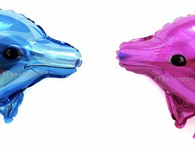 Bong bóng kiếng cá heo xanh hồng 70cm BBK-CH-01