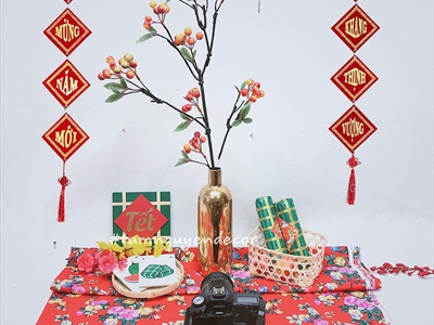 Bộ 02 câu đối Tết khánh vuông nhung đỏ [2 cỡ - Nhung đẹp] CAUDOI-02