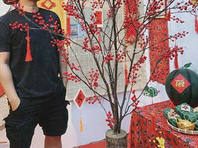 Cành đào đông đỏ 12 nhánh hàng xịn [Trái to - căng đẹp] CANHTRAI-04