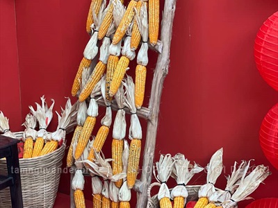 Thi công background Tết vách đỏ Tiệm Nướng Nọ [2025 - Tâm Nguyễn Decor] CC-TET-2502