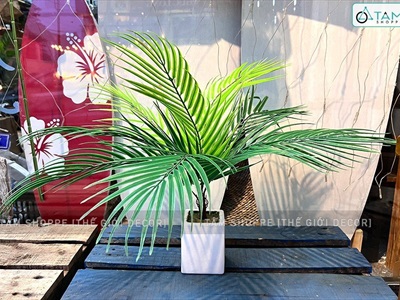 Chậu cây dừa giả 9 lá Tropical CHAUCAYGIA-13