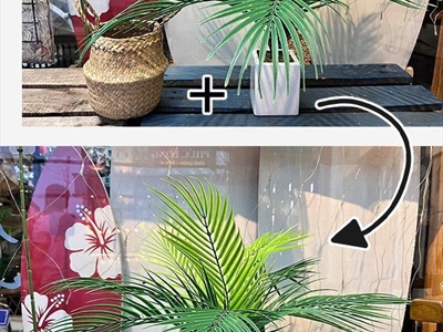 Chậu cây dừa giả 9 lá Tropical CHAUCAYGIA-13