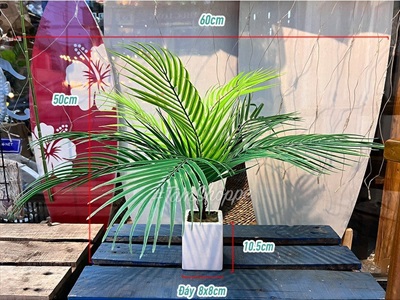Chậu cây dừa giả 9 lá Tropical CHAUCAYGIA-13