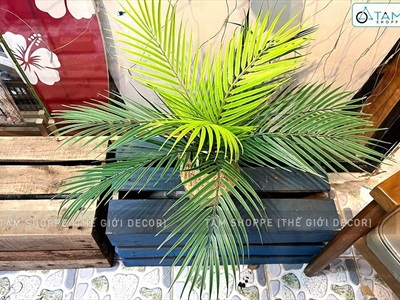 Chậu cây dừa giả 9 lá Tropical CHAUCAYGIA-13