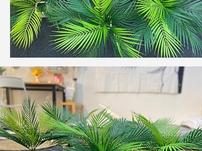 Chậu cây dừa giả 9 lá Tropical CHAUCAYGIA-13