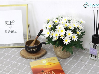 Chậu cúc họa mi trắng dây thừng rustic cao 20cm CHAUHOACS-01