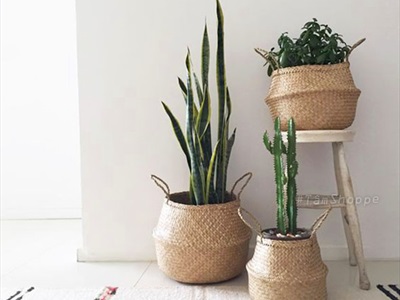 Giỏ cói trồng cây đựng đồ hình chum 2 quai xách GIO-COI-01