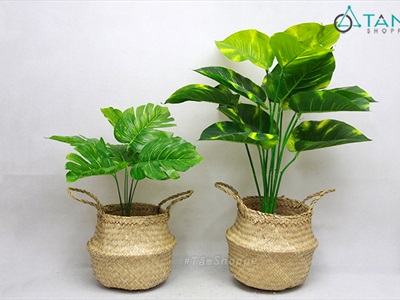 Giỏ cói trồng cây đựng đồ hình chum 2 quai xách GIO-COI-01