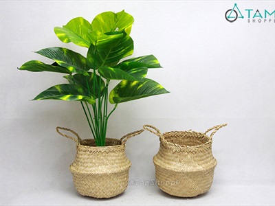 Giỏ cói trồng cây đựng đồ hình chum 2 quai xách GIO-COI-01