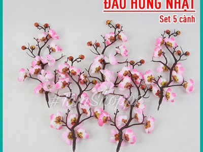 Set 05 cành mai đào bonsai D27cm cùng loại CANHHOA-01