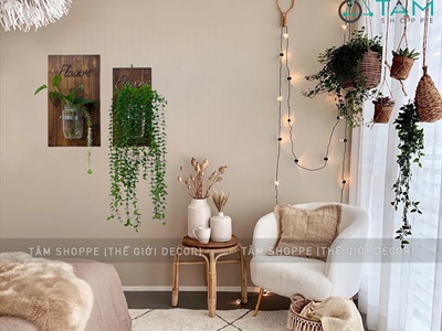 Tấm gỗ lọ thủy tinh treo tường thủy canh nâu đen Rustic (tặng đinh tường) KHTT-01