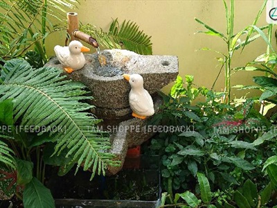 Bộ 2 tượng vịt gốm trống mái gốm trắng vàng TCV-VIT-01