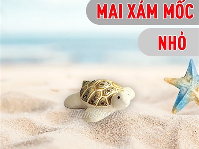Tượng rùa gốm mình trắng nhiều cỡ TCV-RUA-02