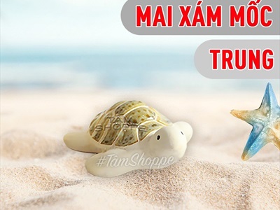 Tượng rùa gốm mình trắng nhiều cỡ TCV-RUA-02