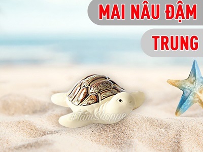 Tượng rùa gốm mình trắng nhiều cỡ TCV-RUA-02