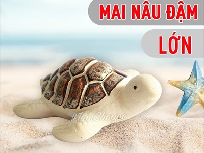 Tượng rùa gốm mình trắng nhiều cỡ TCV-RUA-02