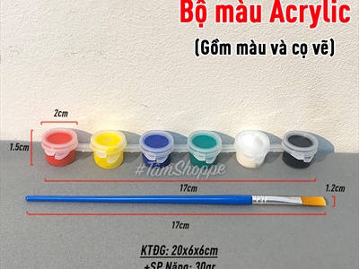 Vỉ 6 màu vẽ Acrylic cơ bản 3ml kèm cọ DCHM-MV-01