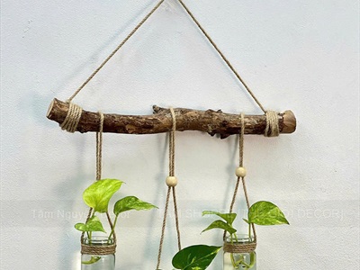 Bó 5 cành cây củi khô tự nhiên dài 40cm [Ngẫu nhiên - ĐK1-3cm] CAYCUI-03