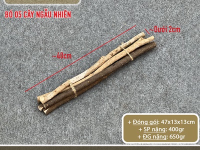 Bó 5 cành cây củi khô tự nhiên dài 40cm [Ngẫu nhiên - ĐK1-3cm] CAYCUI-03