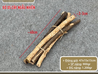 Bó 5 cành cây củi khô tự nhiên dài 40cm [Ngẫu nhiên - ĐK1-3cm] CAYCUI-03