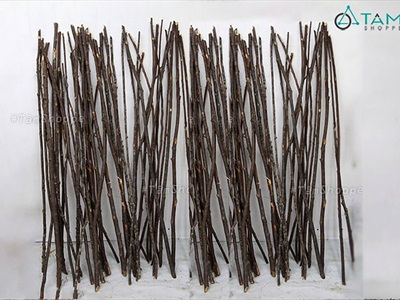 Cành cây củi decor thon dài 120-130cm [ĐK~1-2cm/ Ngẫu nhiên] CAYCUI-07