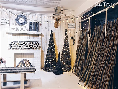 Cành cây củi decor thon dài 120-130cm [ĐK~1-2cm/ Ngẫu nhiên] CAYCUI-07
