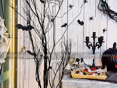 Cành cây khô nhiều nhánh nhỏ decor tự nhiên [Dài 1m2-1m5/ Ngẫu nhiên] CAYCUI-08