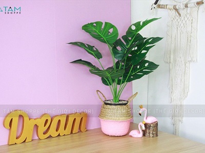 Chữ gỗ DREAM dính liền 15x40cm CHU-GO-04