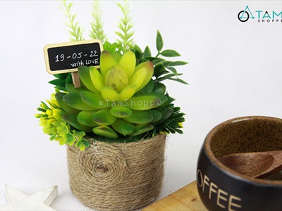Kẹp note bảng đen viết phấn mini [kẹp gỗ - dễ viết] BANGDEN-10