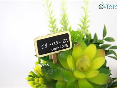 Kẹp note bảng đen viết phấn mini [kẹp gỗ - dễ viết] BANGDEN-10