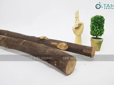Khúc củi, cành cây decor nhiều kích cỡ [Nhiều loại/ Tự nhiên] CAYCUI-06