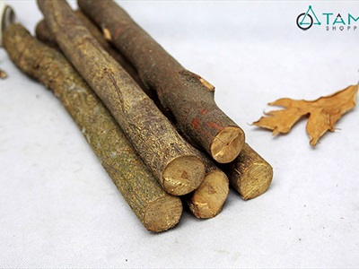 Khúc củi, cành cây decor nhiều kích cỡ [Nhiều loại/ Tự nhiên] CAYCUI-06