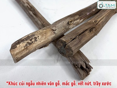 Khúc củi lột vỏ trang trí lò sưởi dài 40cm CUI-01