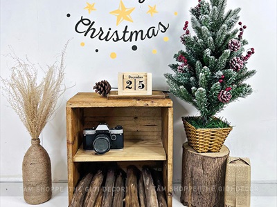 Khúc củi lột vỏ trang trí lò sưởi dài 40cm CUI-01