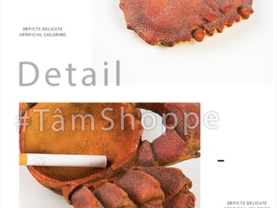 Gạt tàn thuốc hình con cua độc đáo [Nắp rời - 4 màu chọn] GATTAN-01