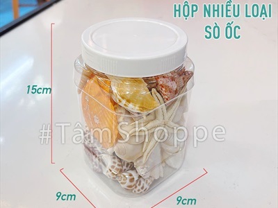 Hủ nhựa nhiều kiểu vỏ sò ốc biển trang trí [Hủ 500-550gr/ Đủ loại] VOSOOC-SET08