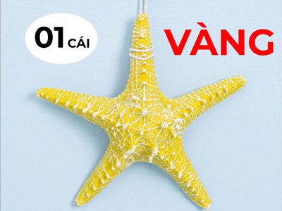 Sao biển trang trí 6 màu ĐK12-13cm [Composite - Có dây treo] SAOBIEN-02