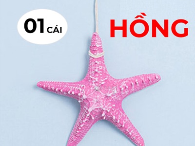 Sao biển trang trí 6 màu ĐK12-13cm [Composite - Có dây treo] SAOBIEN-02