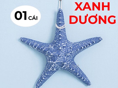 Sao biển trang trí 6 màu ĐK12-13cm [Composite - Có dây treo] SAOBIEN-02