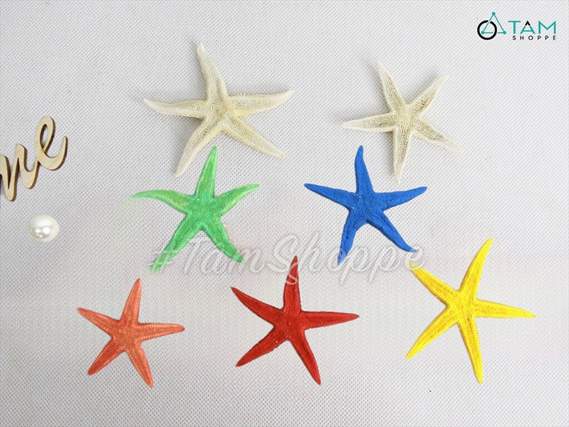 Set 03-05 sao biển Astro đủ màu SAOBIEN-01