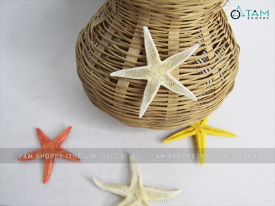 Set 03-05 sao biển Astro đủ màu SAOBIEN-01