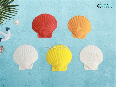 Set 05 vỏ sò điệp sơn màu VOSO-DIEP-01