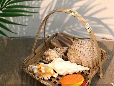 Set 05 vỏ sò điệp sơn màu VOSO-DIEP-01