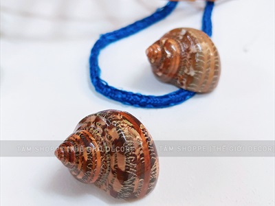 Set vỏ ốc biển hộp gỗ 4 ngăn ốc đỏ [Hàng đẹp - 5 kiểu] VOSOOC-SET04
